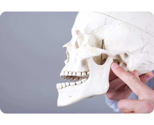 Understanding a dislocated jaw: Causes, symptoms, and treatment options