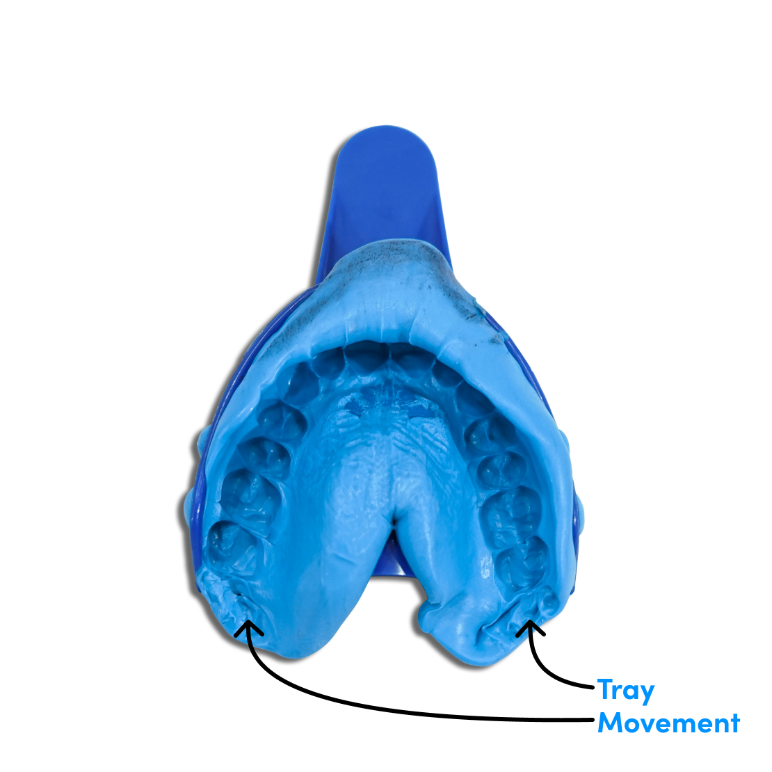 Issue #3: Tray movement